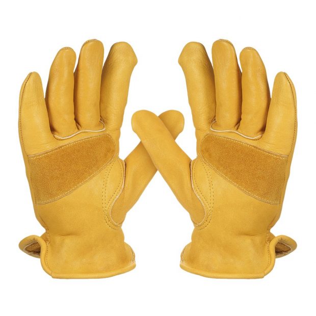 ARGON GLOVE