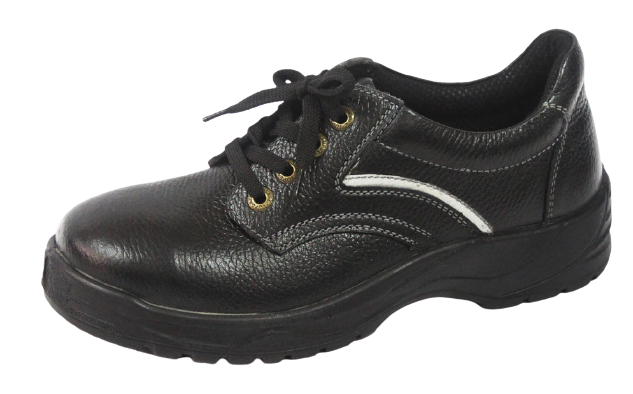 TOPSAFE  TS 8306