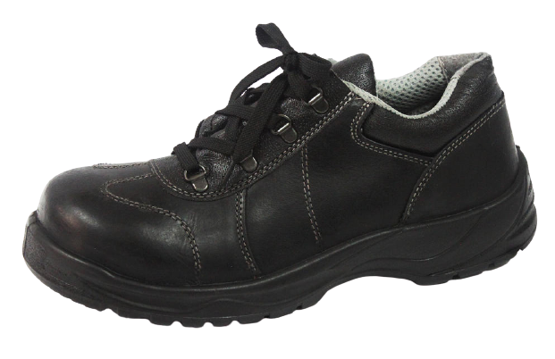 TOPSAFE TS 8481